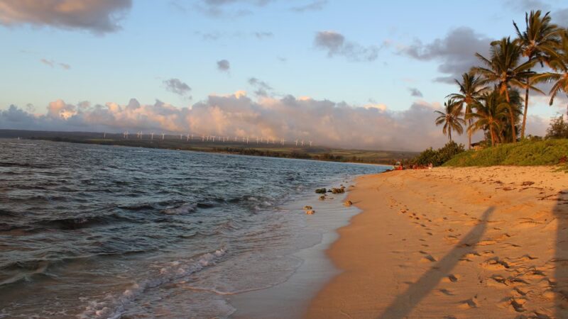 Dole Private Beach Park - Waialua, HI