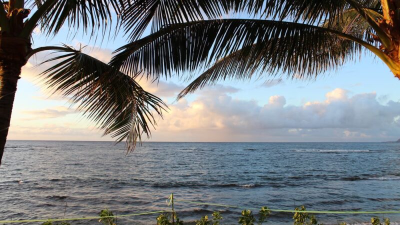 Dole Private Beach Park - Waialua, HI