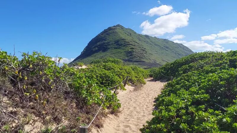 Kaʻena Point Trail - Waialua, HI