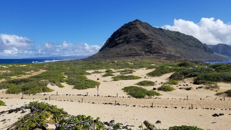 Kaʻena Point Trail - Waialua, HI