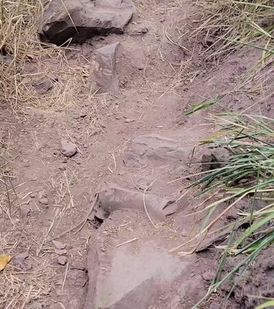 Keālia Trail - Waialua, HI