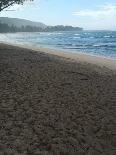 Makaleha Bay Public Access Path - Waialua, HI