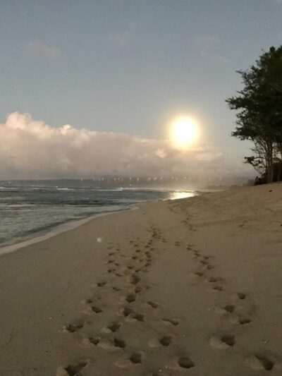 Makaleha Bay Public Access Path - Waialua, HI