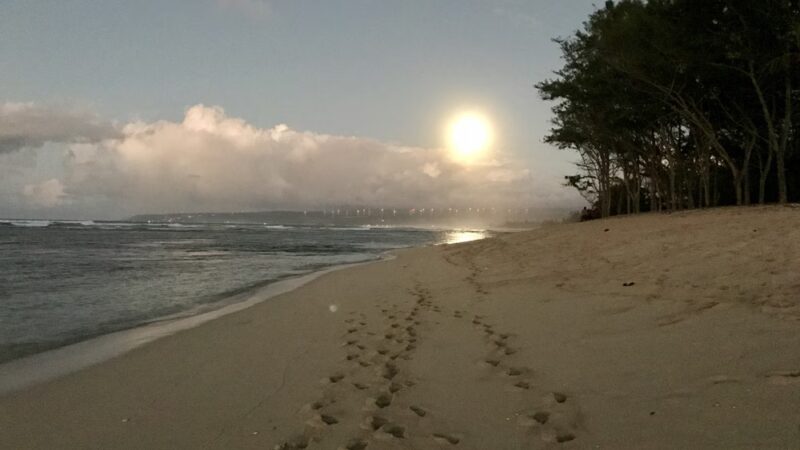 Makaleha Bay Public Access Path - Waialua, HI
