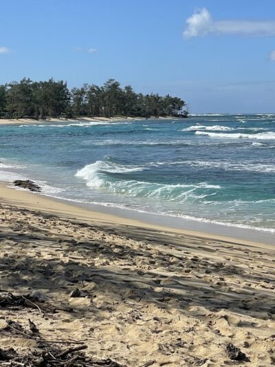 Makaleha Bay Public Access Path - Waialua, HI