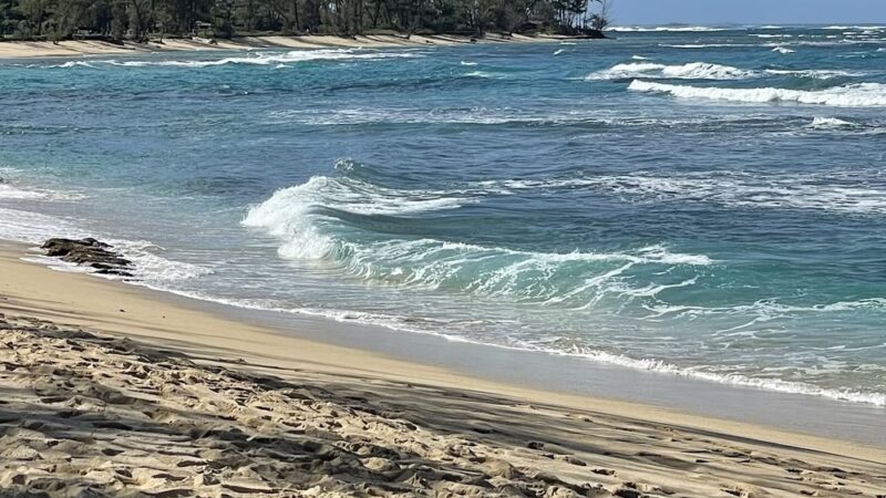 Makaleha Bay Public Access Path - Waialua, HI