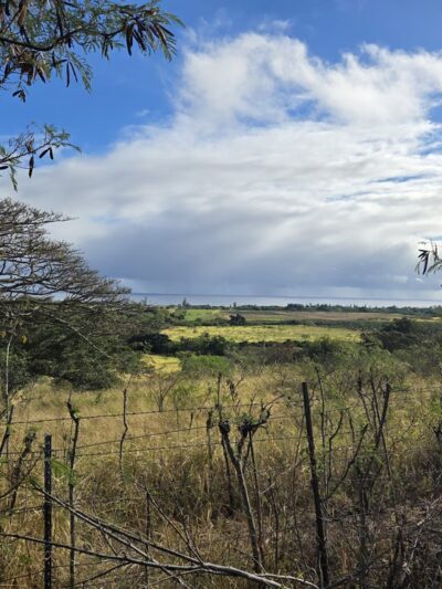 Mokulēʻia Access hike road - Waialua, HI
