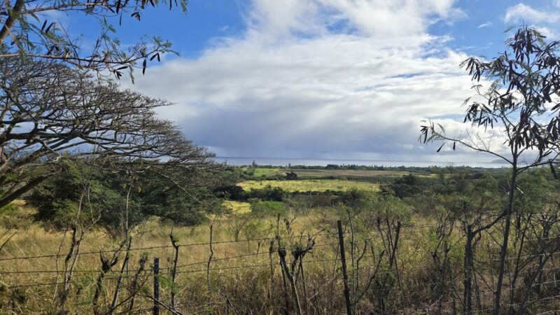 Mokulēʻia Access hike road - Waialua, HI