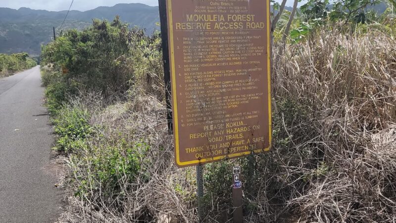 Mokulēʻia Access hike road - Waialua, HI