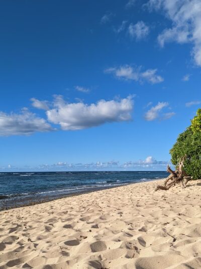 Mokulēʻia Beach Park - Waialua, HI