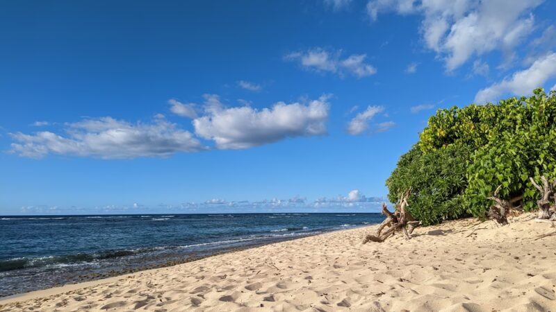 Mokulēʻia Beach Park - Waialua, HI