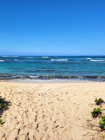 Mokulēʻia Beach Park - Waialua, HI