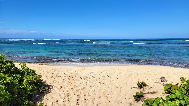 Mokulēʻia Beach Park - Waialua, HI