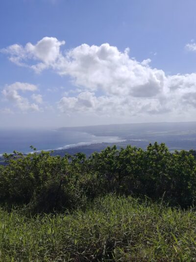 Mokuleʻia Forest Reserve - Waialua, HI