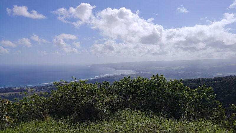 Mokuleʻia Forest Reserve - Waialua, HI