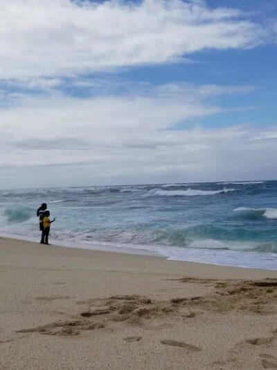 Mokuleʻia Forest Reserve - Waialua, HI