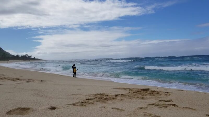 Mokuleʻia Forest Reserve - Waialua, HI
