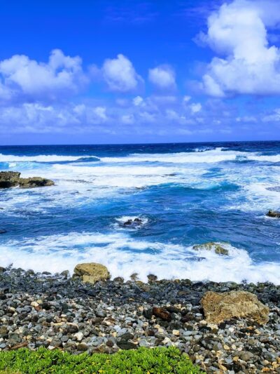 Mokuleʻia Forest Reserve - Waialua, HI