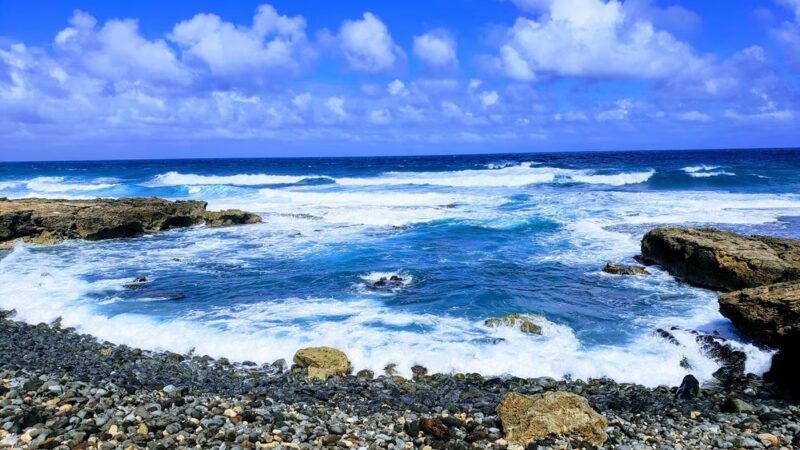Mokuleʻia Forest Reserve - Waialua, HI