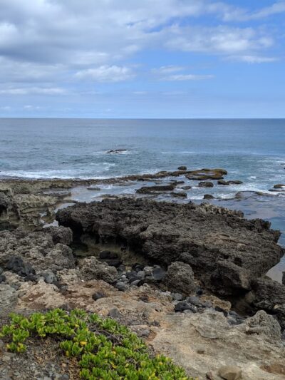 Mokuleʻia Forest Reserve - Waialua, HI