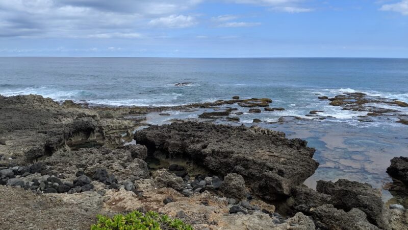 Mokuleʻia Forest Reserve - Waialua, HI