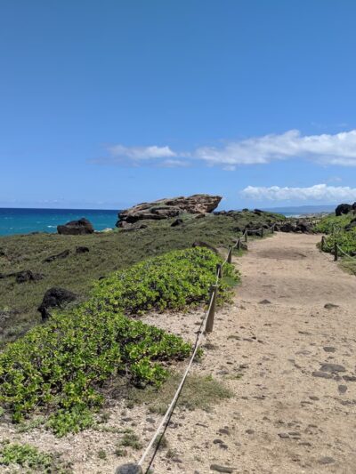 Mokuleʻia Forest Reserve - Waialua, HI