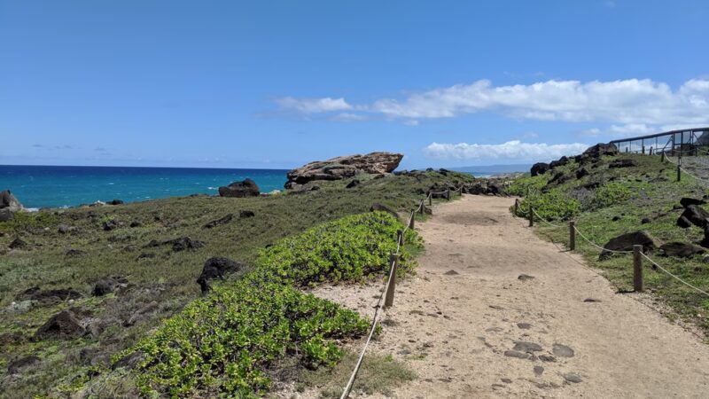 Mokuleʻia Forest Reserve - Waialua, HI