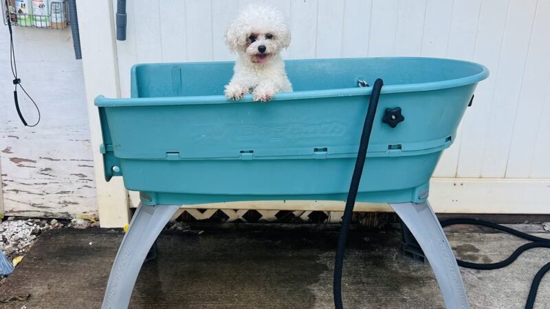 Pawstastic Pets - Waialua, HI