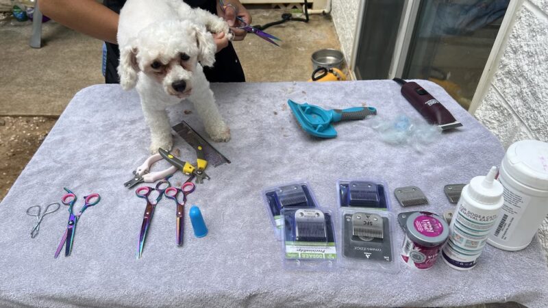 Pawstastic Pets - Waialua, HI