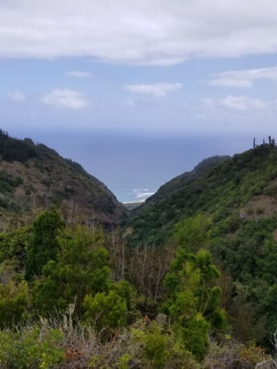 Peacock Flats - Waialua, HI