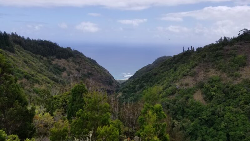 Peacock Flats - Waialua, HI