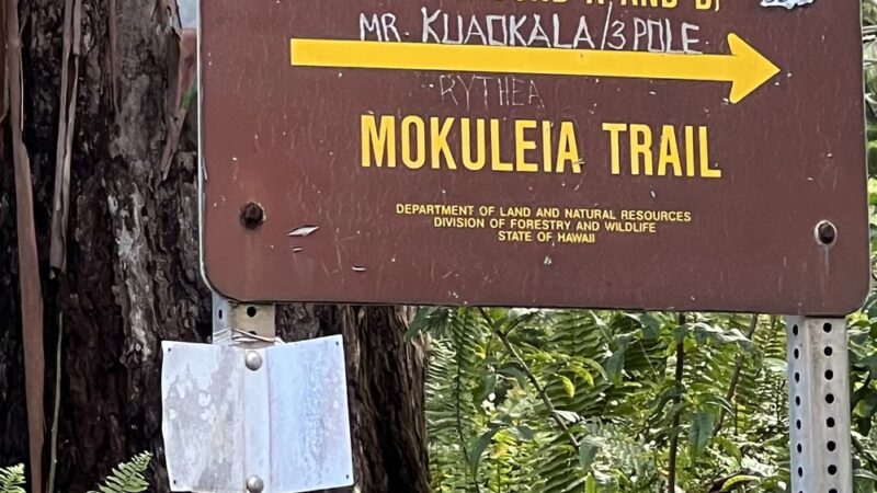 Peacock Flats - Waialua, HI