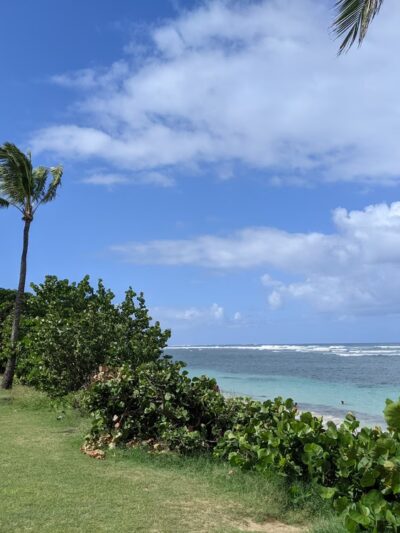 ʻĀweoweo Beach Park - Waialua, HI