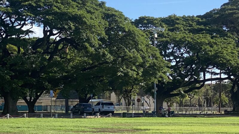 Herbert K. Pililāʻau Community Park - Waianae, HI