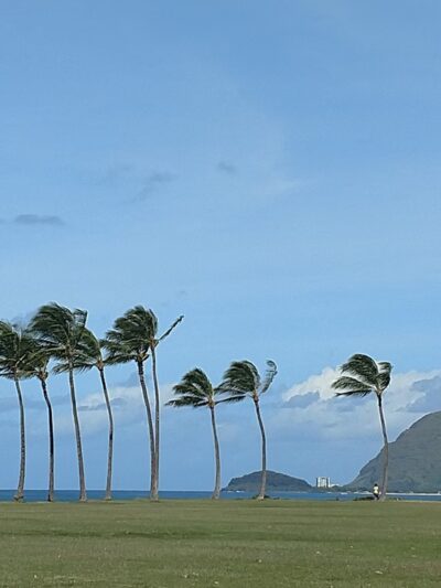 Māʻili Community Park - Waianae, HI