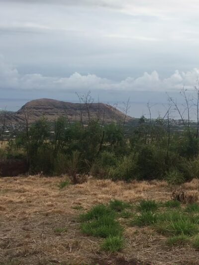 Mt. Kaʻala Hiking Trail - Waianae, HI