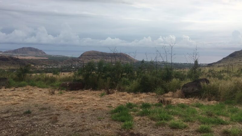 Mt. Kaʻala Hiking Trail - Waianae, HI