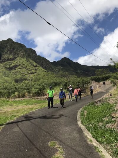 Mt. Kaʻala Hiking Trail - Waianae, HI