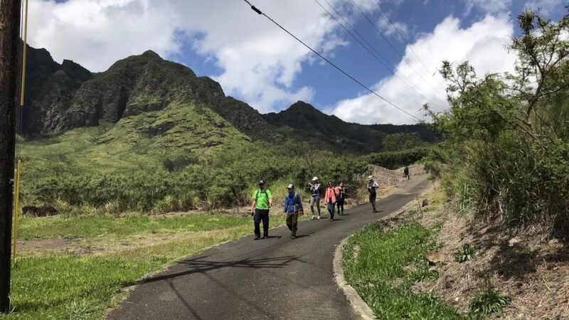 Mt. Kaʻala Hiking Trail - Waianae, HI