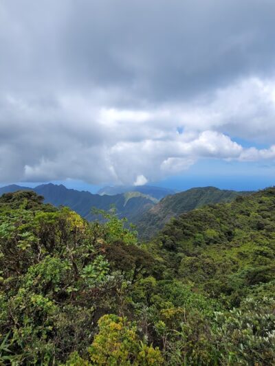 Mt. Kaʻala Hiking Trail - Waianae, HI