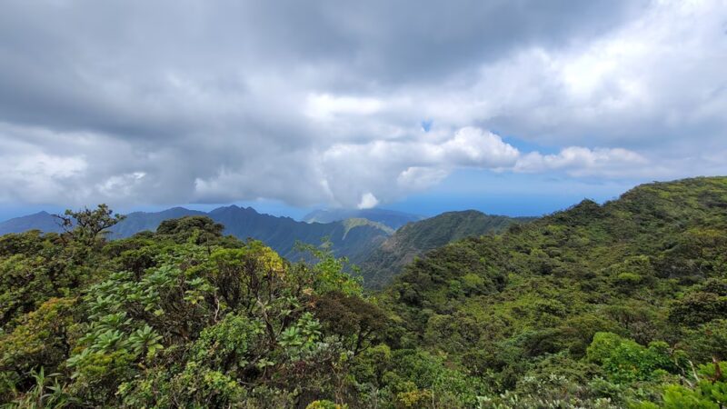 Mt. Kaʻala Hiking Trail - Waianae, HI