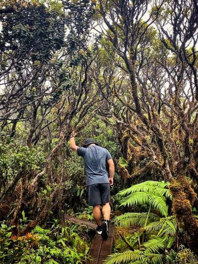 Mt. Kaʻala Hiking Trail - Waianae, HI