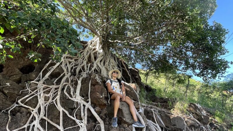 Puʻu O Hulu - Waianae, HI