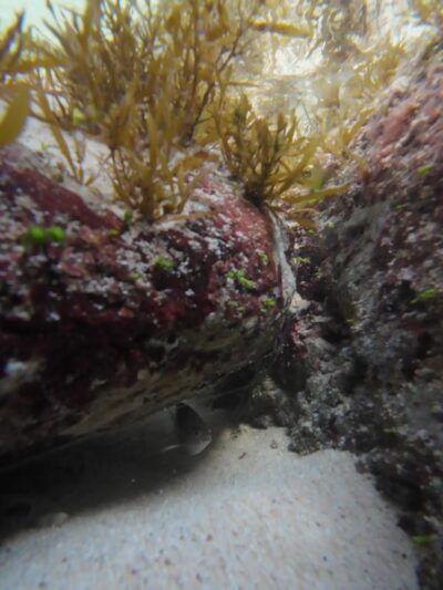 Depot Beach Park - Waianae, HI