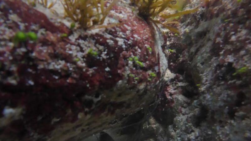 Depot Beach Park - Waianae, HI