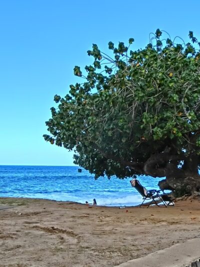 Depot Beach Park - Waianae, HI