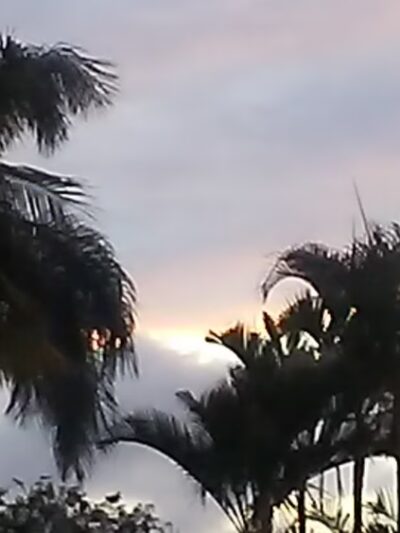 Wells Park - Wailuku, HI