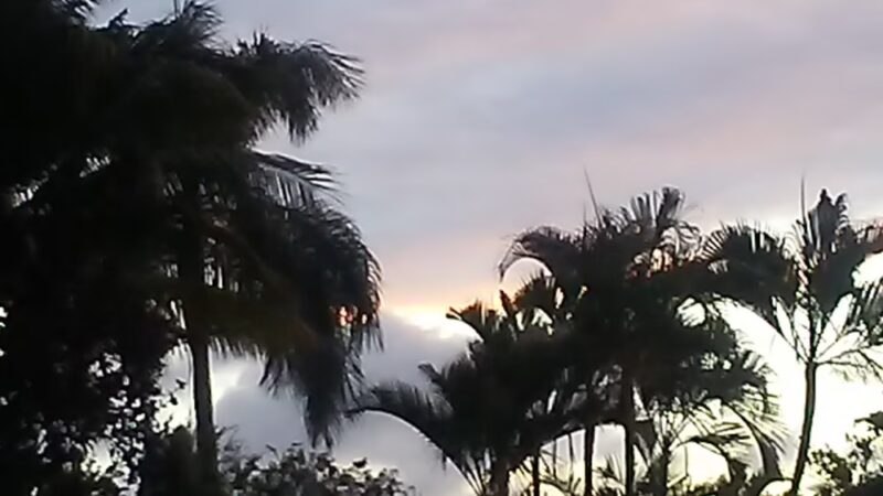 Wells Park - Wailuku, HI