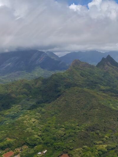 Nalowinds Kennels - Waimanalo, HI