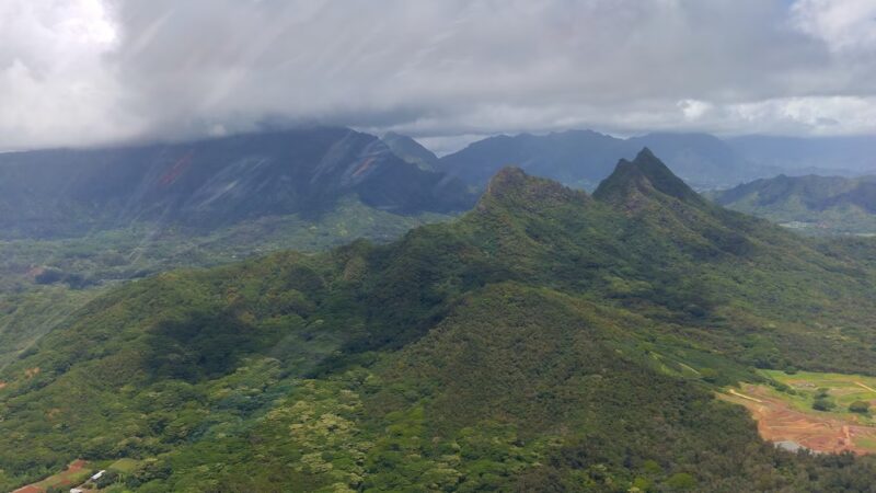 Nalowinds Kennels - Waimanalo, HI